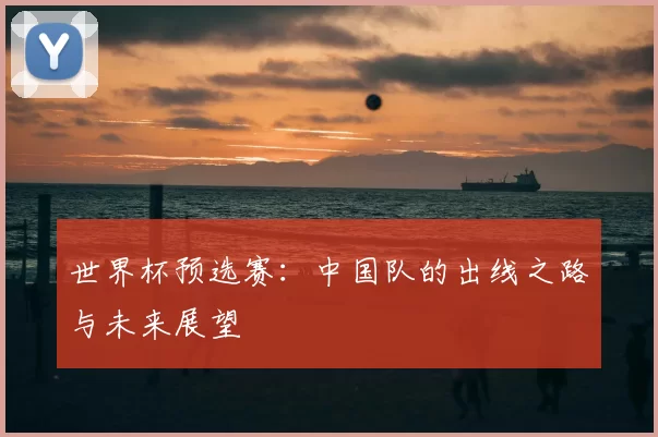 世界杯预选赛：中国队的出线之路与未来展望