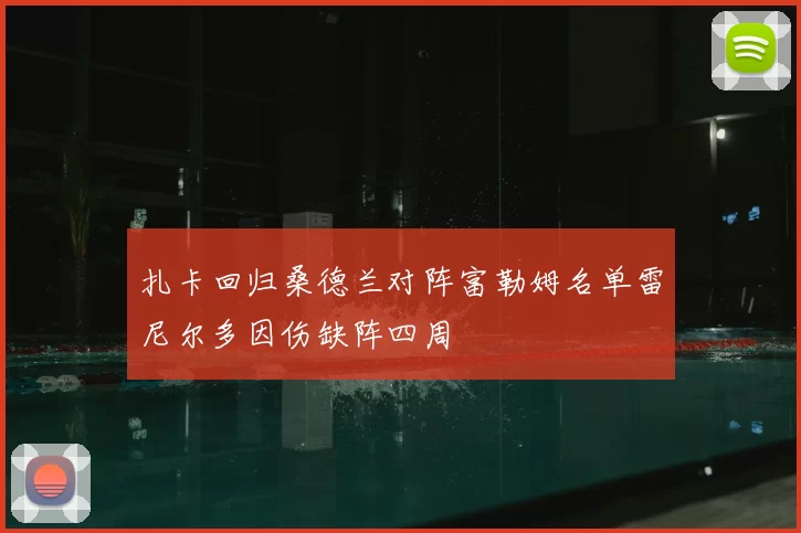 扎卡回归桑德兰对阵富勒姆名单雷尼尔多因伤缺阵四周