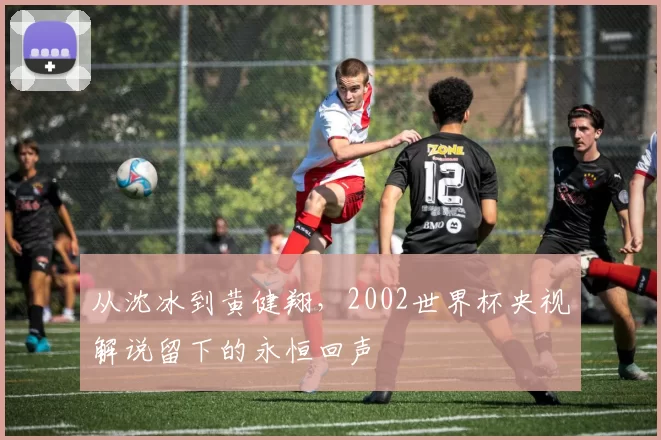从沈冰到黄健翔,2002世界杯央视解说留下的永恒回声