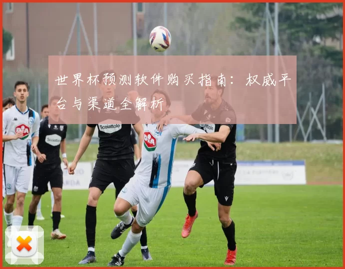 世界杯预测软件购买指南:权威平台与渠道全解析