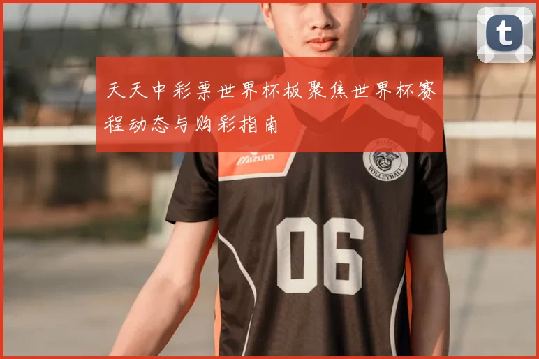 天天中彩票世界杯板聚焦世界杯赛程动态与购彩指南