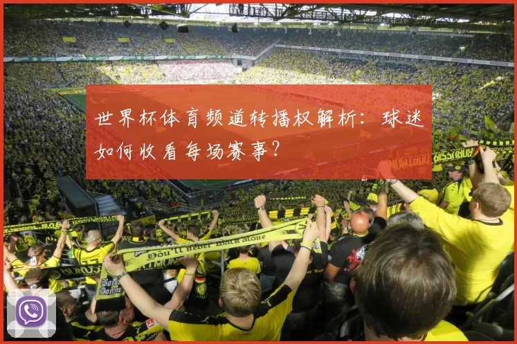 世界杯体育频道转播权解析:球迷如何收看每场赛事?