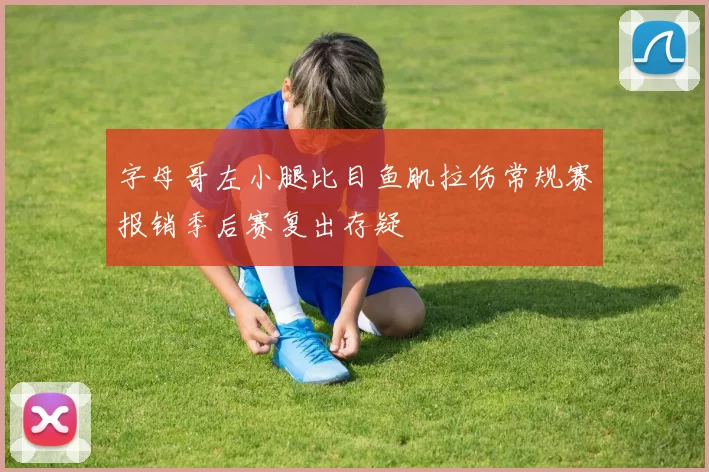 字母哥左小腿比目鱼肌拉伤常规赛报销季后赛复出存疑