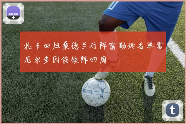 扎卡回归桑德兰对阵富勒姆名单雷尼尔多因伤缺阵四周