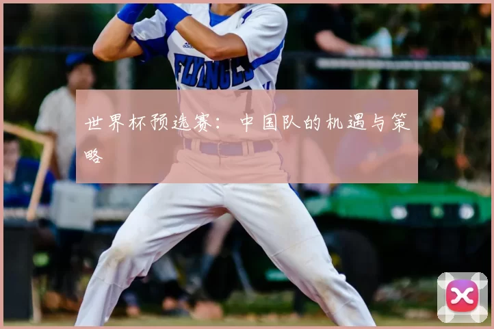 世界杯预选赛:中国队的机遇与策略