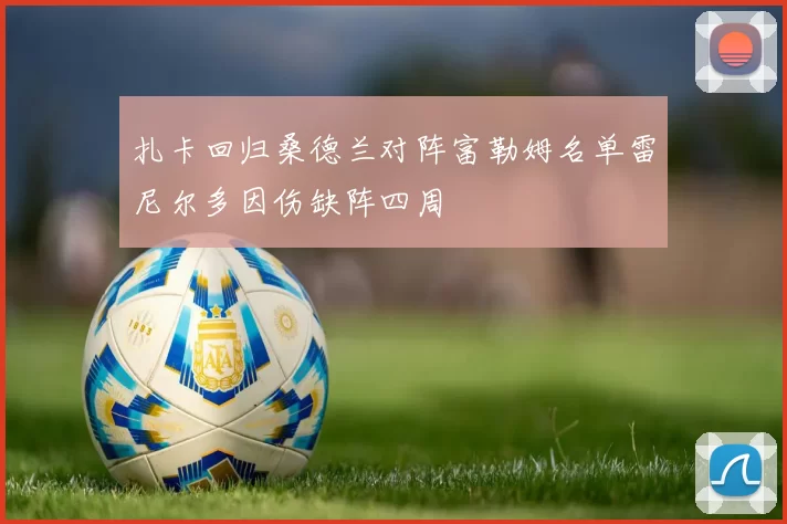扎卡回归桑德兰对阵富勒姆名单雷尼尔多因伤缺阵四周