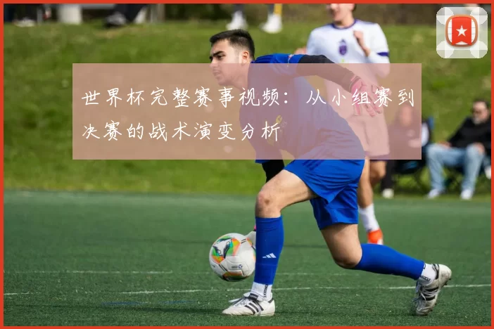 世界杯完整赛事视频：从小组赛到决赛的战术演变分析