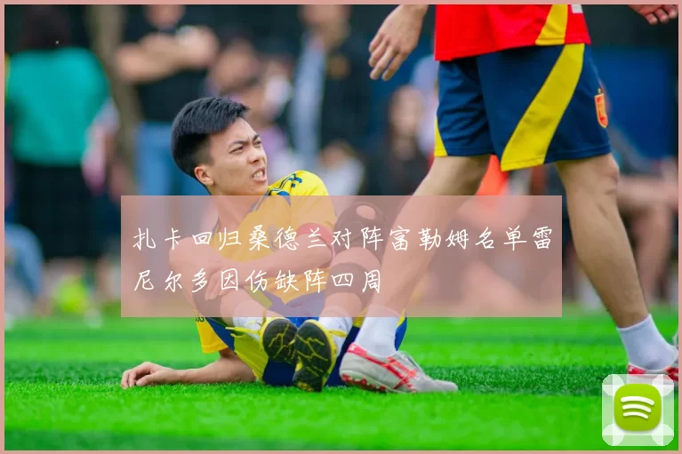 扎卡回归桑德兰对阵富勒姆名单雷尼尔多因伤缺阵四周