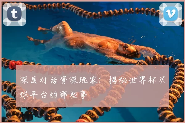 深度对话资深玩家:揭秘世界杯买球平台的那些事