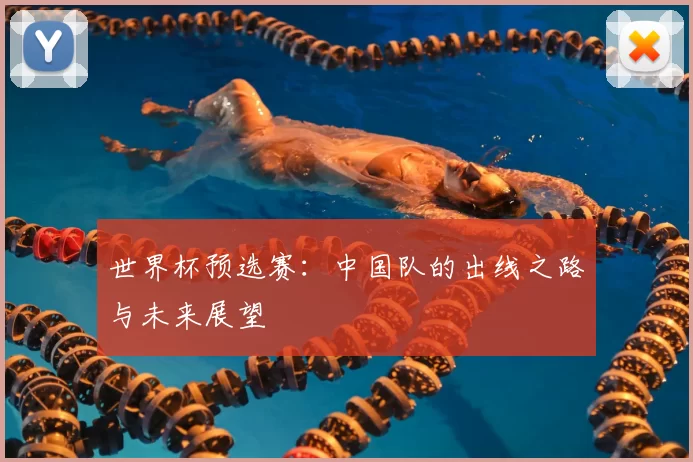 世界杯预选赛：中国队的出线之路与未来展望
