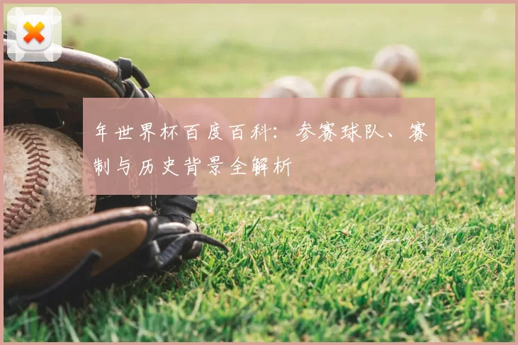 年世界杯百度百科：参赛球队、赛制与历史背景全解析