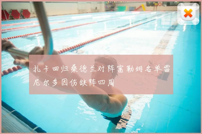 扎卡回归桑德兰对阵富勒姆名单雷尼尔多因伤缺阵四周