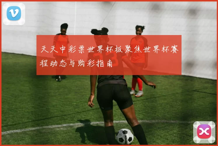 天天中彩票世界杯板聚焦世界杯赛程动态与购彩指南