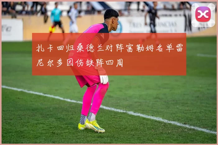 扎卡回归桑德兰对阵富勒姆名单雷尼尔多因伤缺阵四周